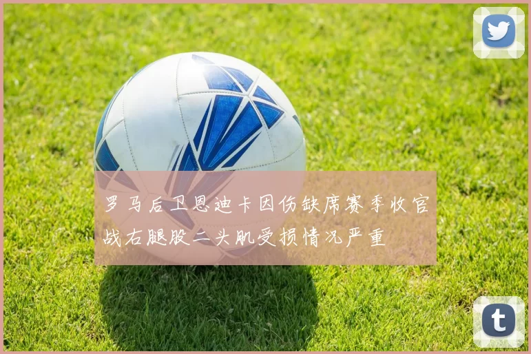 罗马后卫恩迪卡因伤缺席赛季收官战右腿股二头肌受损情况严重